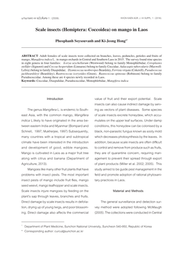Scale Insects (Hemiptera: Coccoidea) on Mango in Laos