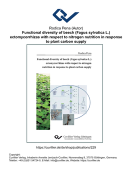 Functional Diversity of Beech (Fagus Sylvatica L.) Ectomycorrhizas with Respect to Nitrogen Nutrition in Response to Plant Carbon Supply