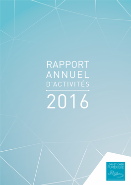 Rapport Annuel D'activités 2016