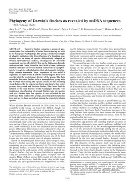 Phylogeny of Darwin's Finches As Revealed By