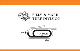 Breeders' Cup Filly & Mare Turf