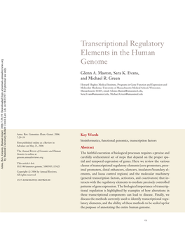 Transcriptional Regulatory Elements in the Human Genome