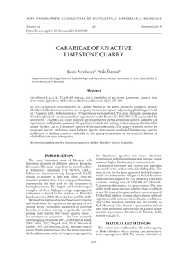 Carabidae of an Active Limestone Quarry