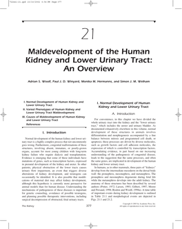 Maldevelopment of the Human Kidney and Lower Urinary Tract: an Overview