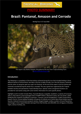 Brazil: Pantanal, Amazon and Cerrado