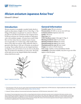 Illicium Anisatum Japanese Anise Tree1 Edward F