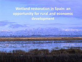 Wetland Restoration in Spain: an Opportunity for Rural and Economic Development 1