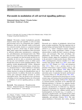 Flavonoids in Modulation of Cell Survival Signalling Pathways