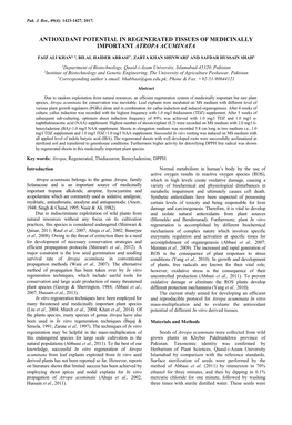 Antioxidant Potential in Regenerated Tissues of Medicinally Important Atropa Acuminata