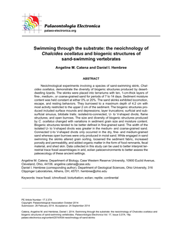 Swimming Through the Substrate: the Neoichnology of Chalcides Ocellatus and Biogenic Structures of Sand-Swimming Vertebrates