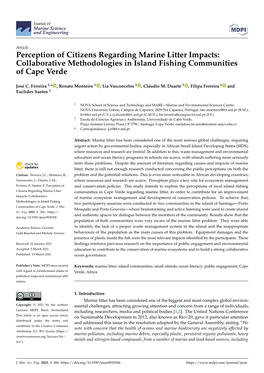 Perception of Citizens Regarding Marine Litter Impacts: Collaborative Methodologies in Island Fishing Communities of Cape Verde