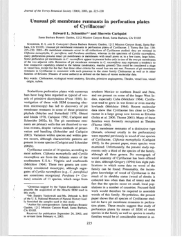 Unusual Pit Membrane Remnants in Perforation Plates of Cyrillacea&