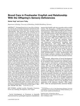 Brood Care in Freshwater Crayfish and Relationship with the Offspring's Sensory Deficiencies