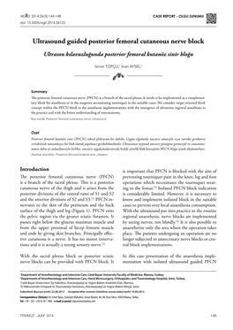 Ultrasound Guided Posterior Femoral Cutaneous Nerve Block