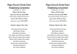 Plygu Gwrych Pandy Tudur Hedgelaying Competition Plygu