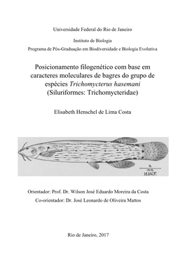 Posicionamento Filogenético Com Base Em Caracteres Moleculares De Bagres Do Grupo De Espécies Trichomycterus Hasemani (Siluriformes: Trichomycteridae)