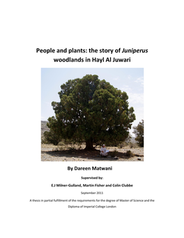 People and Plants: the Story of Juniperus Woodlands in Hayl Al Juwari