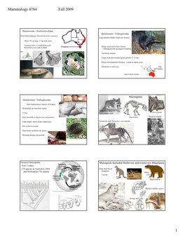 Mammalogy 4764 Fall 2009 1