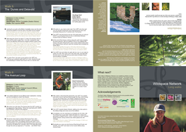 Wildspace Walks Leaflet