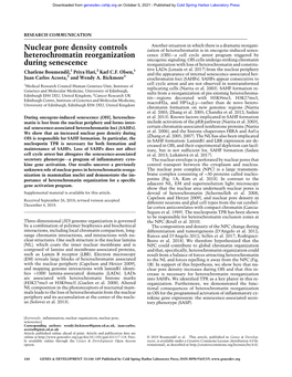 Nuclear Pore Density Controls Heterochromatin Reorganization During Senescence