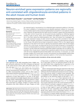 Neuron-Enriched Gene Expression Patterns Are Regionally Anti-Correlated with Oligodendrocyte-Enriched Patterns in the Adult Mouse and Human Brain