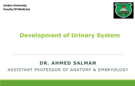 UGS Embryology