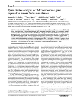 Quantitative Analysis of Y-Chromosome Gene Expression Across 36 Human Tissues