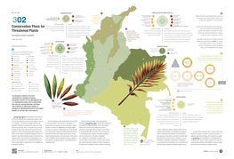 Conservation Plans for Threatened Plants