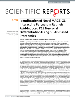 Identification of Novel MAGE-G1-Interacting Partners in Retinoic Acid-Induced P19 Neuronal Differentiation Using SILAC-Based Proteomics