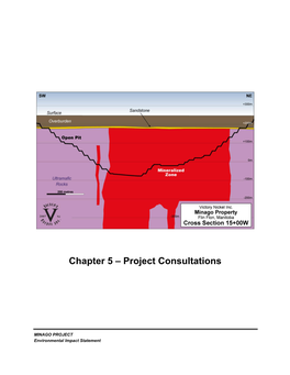 Chapter 5 – Project Consultations
