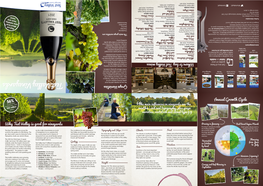 Test Valley Vineyards Leaflet April 2021