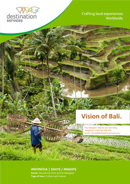 Vision of Bali. INDONESIA