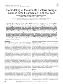 Balance Circuit Is Inhibited in Obese Mice David E.G