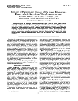 Photosynthetic Bacterium Chloroflexus Aurantiacus BEVERLY K