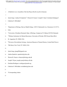 A Hybrid De Novo Assembly of the Sea Pansy (Renilla Muelleri) Genome