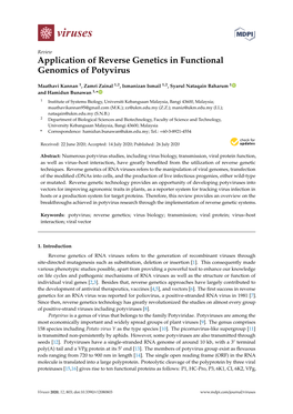 Application of Reverse Genetics in Functional Genomics of Potyvirus