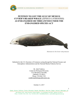 Petition to List the Gulf of Mexico Cuvier's Beaked Whale As