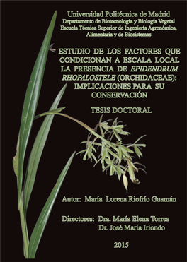 Estudio De Los Factores Que Condicionan, a Escala Local, La Presencia De Epidendrum Rhopalostele (Orchidaceae): Implicaciones Para Su Conservación