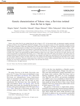 Genetic Characterization of Yokose Virus, a Flavivirus Isolated from the Bat in Japan