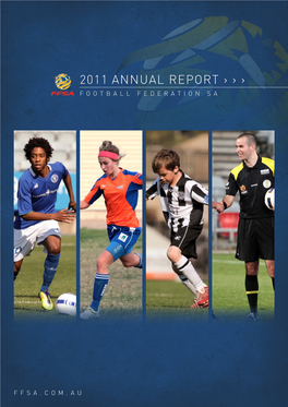 2011 Annual Report › › › Football Federation Sa