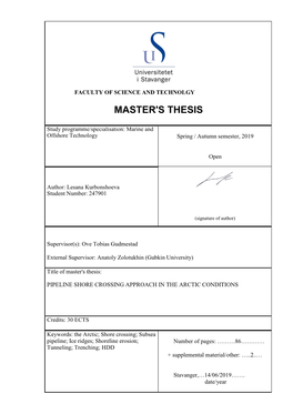 Master's Thesis