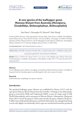 A New Species of the Leafhopper Genus Maiestas Distant from Australia (Hemiptera, Cicadellidae, Deltocephalinae, Deltocephalini)