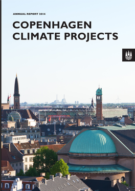 Copenhagen Climate Projects