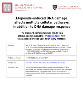 Etoposide-Induced DNA Damage Affects Multiple Cellular Pathways in Addition to DNA Damage Response