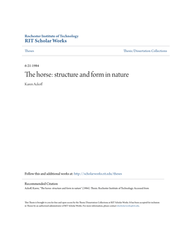 The Horse: Structure and Form in Nature