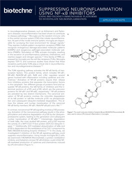 Suppressing Neuroinflammation Using Nf-Κb Inhibitors