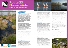 Route 23 Ellesmere to Welsh End & Hollinwood
