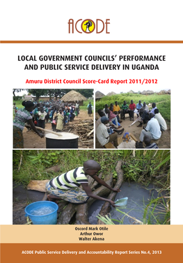 Local Government Councils' Performance and Public Service