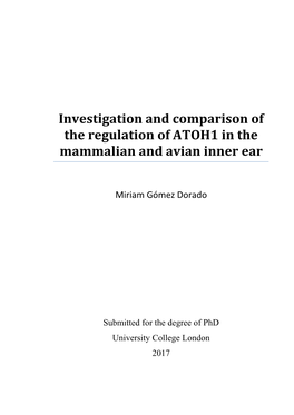 Investigation and Comparison of the Regulation of ATOH1 in the Mammalian and Avian Inner Ear