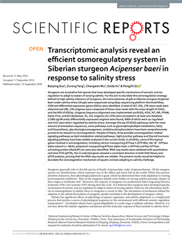 Transcriptomic Analysis Reveal an Efficient Osmoregulatory System In